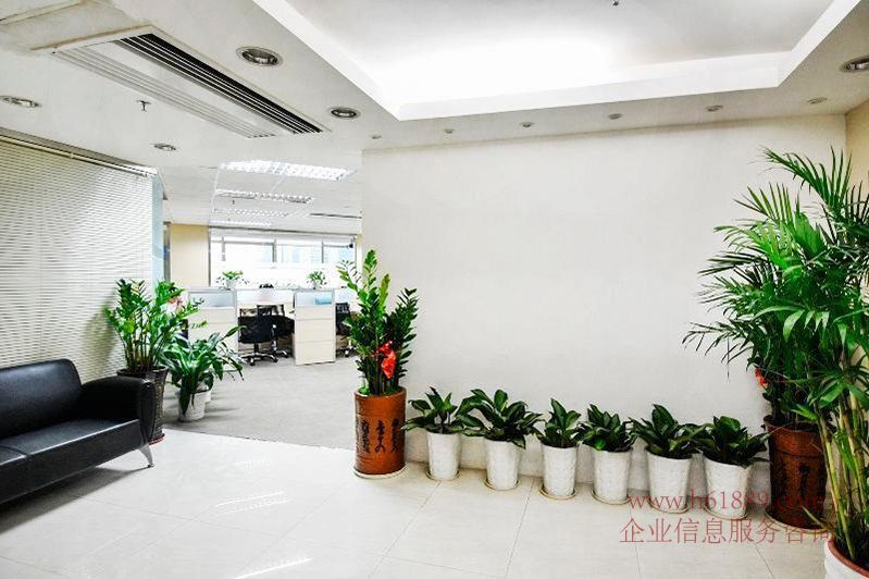 大中華國際交易廣場裝修圖片