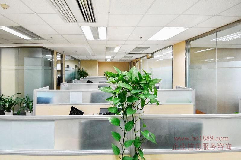大中華國際交易廣場裝修圖片